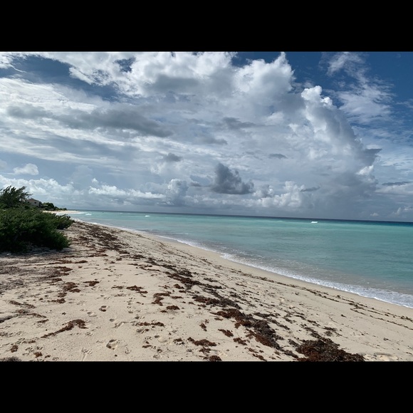 Meet your Posher, Winona - Picture 1 of 1